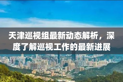 天津巡视组最新动态解析，深度了解巡视工作的最新进展