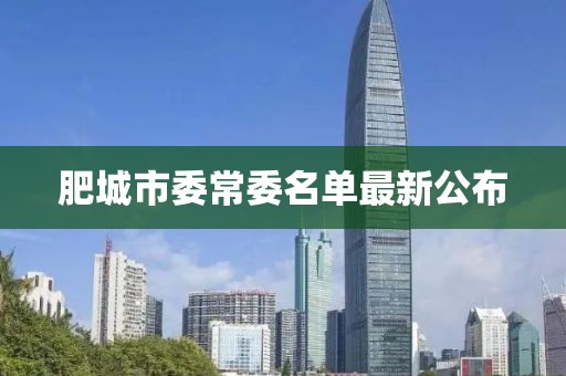 肥城市委常委名单最新公布