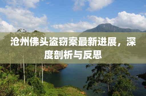 沧州佛头盗窃案最新进展，深度剖析与反思