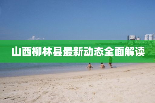 山西柳林县最新动态全面解读