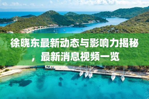 徐晓东最新动态与影响力揭秘，最新消息视频一览