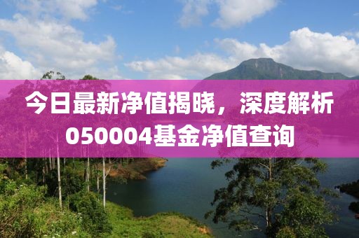 今日最新净值揭晓，深度解析050004基金净值查询