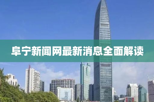 阜宁新闻网最新消息全面解读