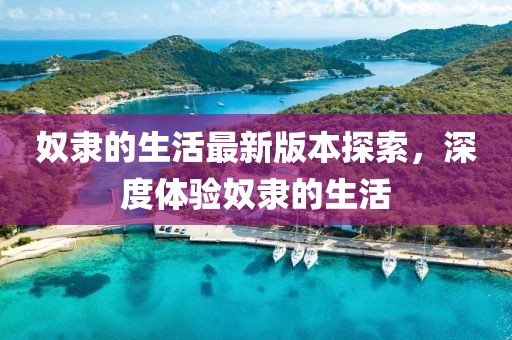 奴隶的生活最新版本探索，深度体验奴隶的生活