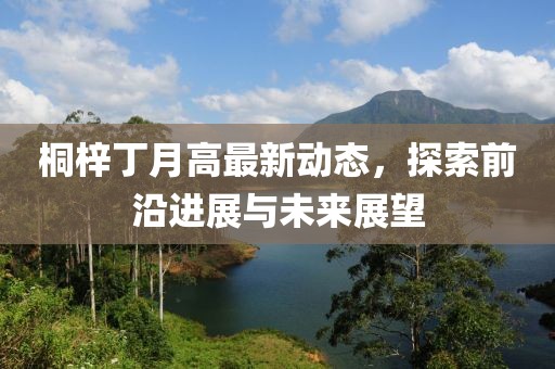 桐梓丁月高最新动态，探索前沿进展与未来展望