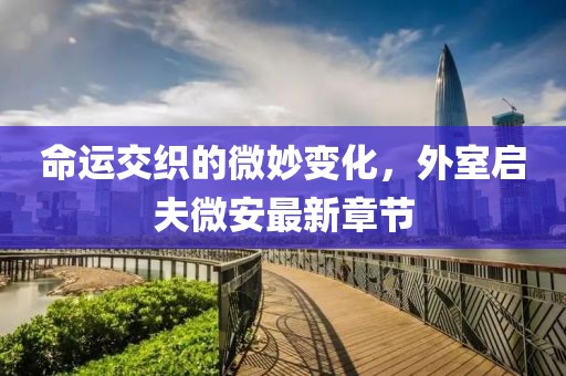 命运交织的微妙变化，外室启夫微安最新章节
