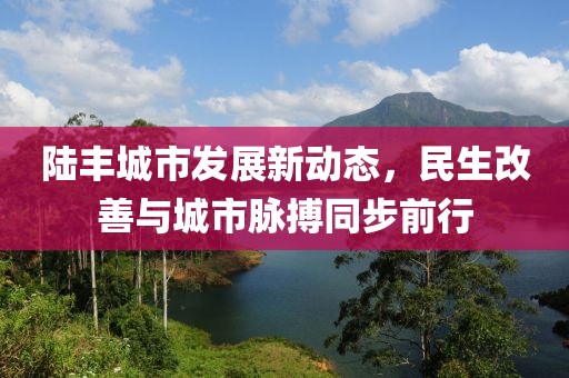 陆丰城市发展新动态，民生改善与城市脉搏同步前行