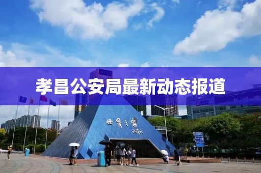 孝昌公安局最新动态报道