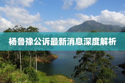 杨鲁豫公诉最新消息深度解析
