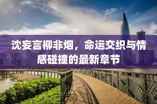 旧巴黎 第8页