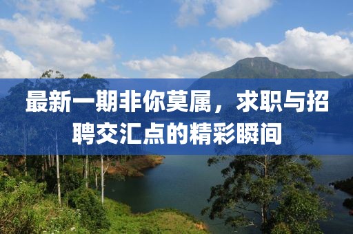 最新一期非你莫属，求职与招聘交汇点的精彩瞬间