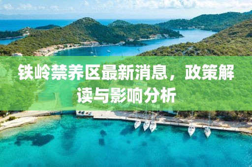 铁岭禁养区最新消息，政策解读与影响分析