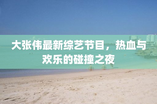 大张伟最新综艺节目，热血与欢乐的碰撞之夜