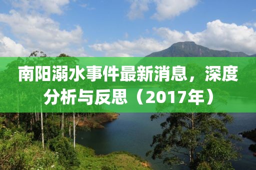 南阳溺水事件最新消息，深度分析与反思（2017年）