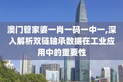 澳门管家婆一肖一码一中一,深入解析双链轴承数据在工业应用中的重要性