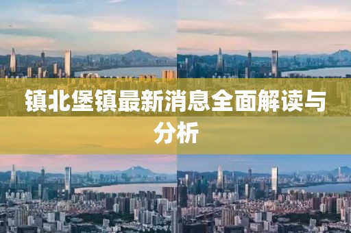 镇北堡镇最新消息全面解读与分析