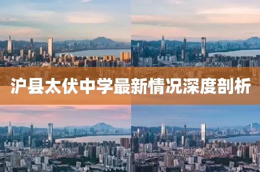 沪县太伏中学最新情况深度剖析