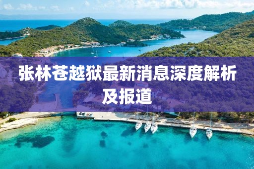 张林苍越狱最新消息深度解析及报道