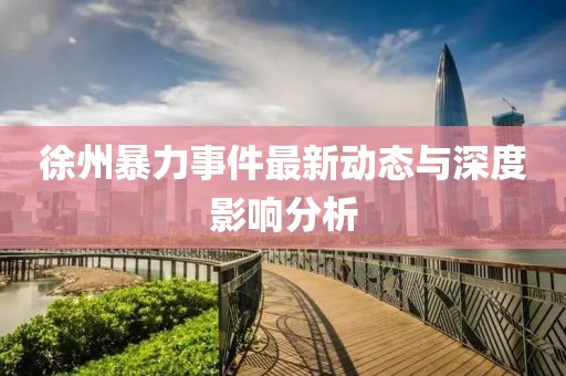 徐州暴力事件最新动态与深度影响分析