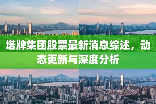 塔牌集团股票最新消息综述，动态更新与深度分析