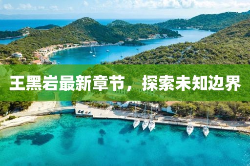 王黑岩最新章节，探索未知边界