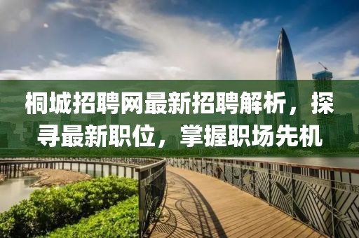桐城招聘网最新招聘解析，探寻最新职位，掌握职场先机