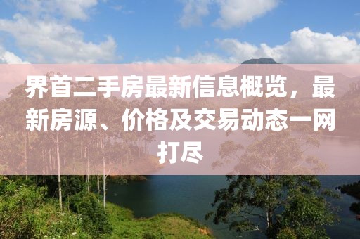 界首二手房最新信息概览，最新房源、价格及交易动态一网打尽