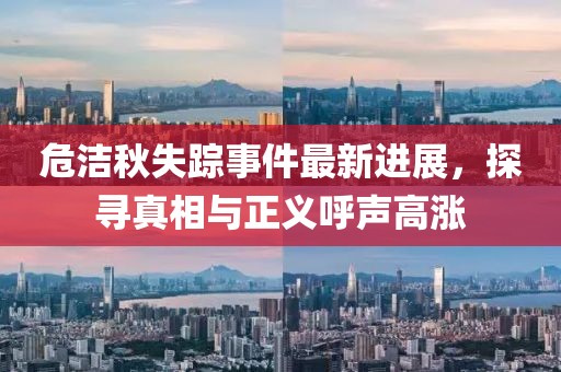 危洁秋失踪事件最新进展，探寻真相与正义呼声高涨
