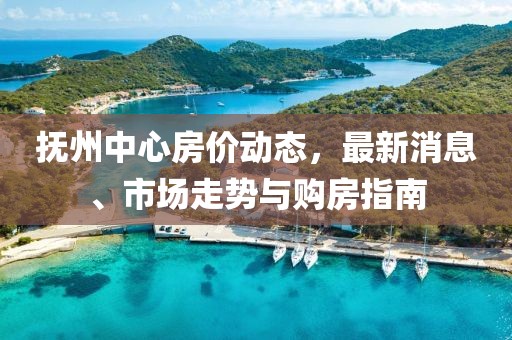抚州中心房价动态，最新消息、市场走势与购房指南