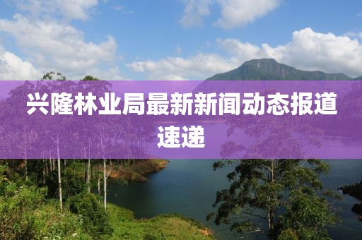 兴隆林业局最新新闻动态报道速递