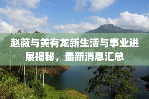 赵薇与黄有龙新生活与事业进展揭秘，最新消息汇总