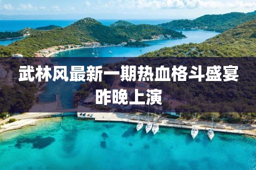 武林风最新一期热血格斗盛宴昨晚上演