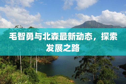 毛智勇与北森最新动态，探索发展之路