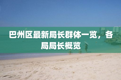巴州区最新局长群体一览，各局局长概览
