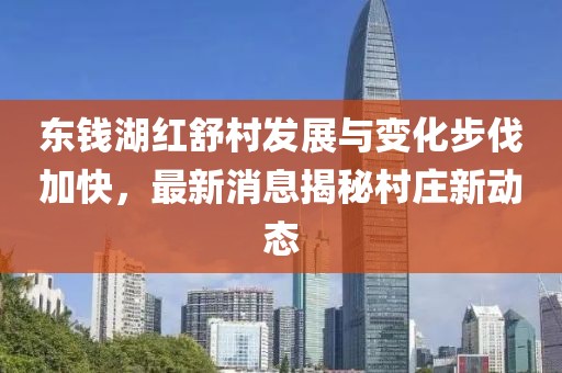 东钱湖红舒村发展与变化步伐加快，最新消息揭秘村庄新动态