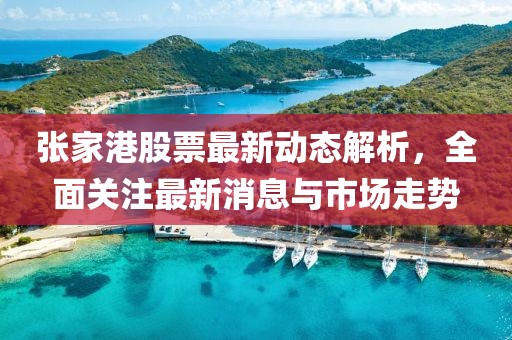 张家港股票最新动态解析，全面关注最新消息与市场走势