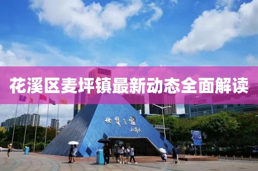 花溪区麦坪镇最新动态全面解读