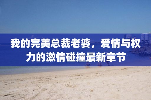 我的完美总裁老婆，爱情与权力的激情碰撞最新章节