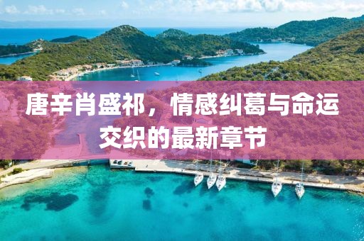 唐辛肖盛祁，情感纠葛与命运交织的最新章节