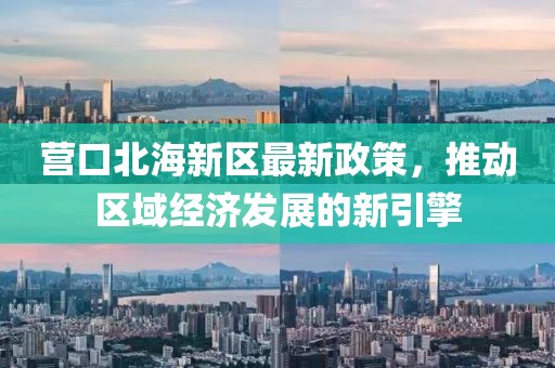 营口北海新区最新政策，推动区域经济发展的新引擎
