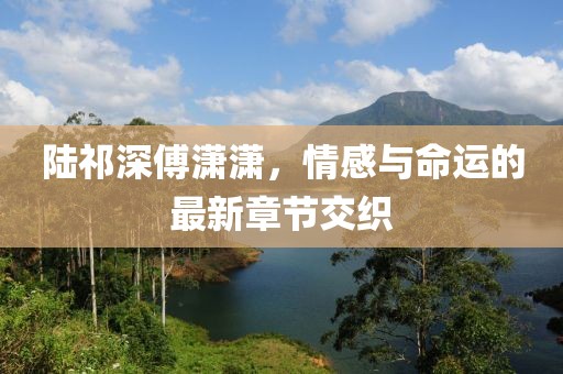 陆祁深傅潇潇，情感与命运的最新章节交织