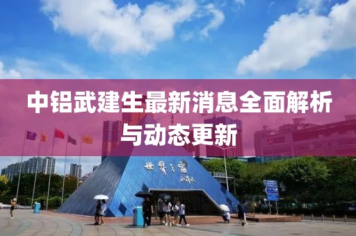 中铝武建生最新消息全面解析与动态更新