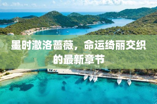 墨时澈洛蔷薇，命运绮丽交织的最新章节