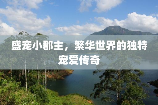 温如言 第8页