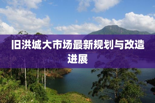 旧洪城大市场最新规划与改造进展