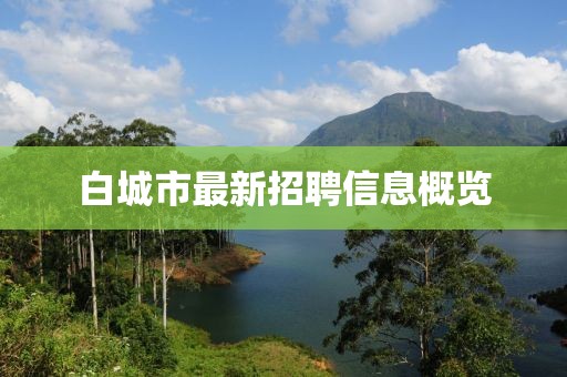 白城市最新招聘信息概览