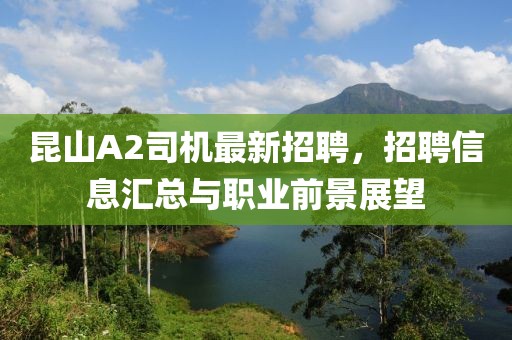 昆山A2司机最新招聘，招聘信息汇总与职业前景展望