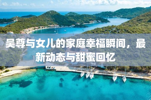 吴尊与女儿的家庭幸福瞬间，最新动态与甜蜜回忆