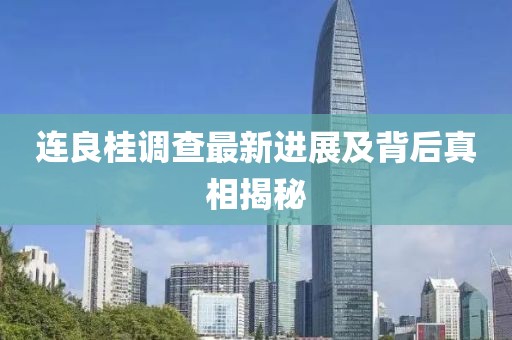 连良桂调查最新进展及背后真相揭秘