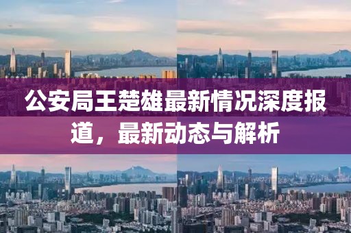 公安局王楚雄最新情况深度报道，最新动态与解析